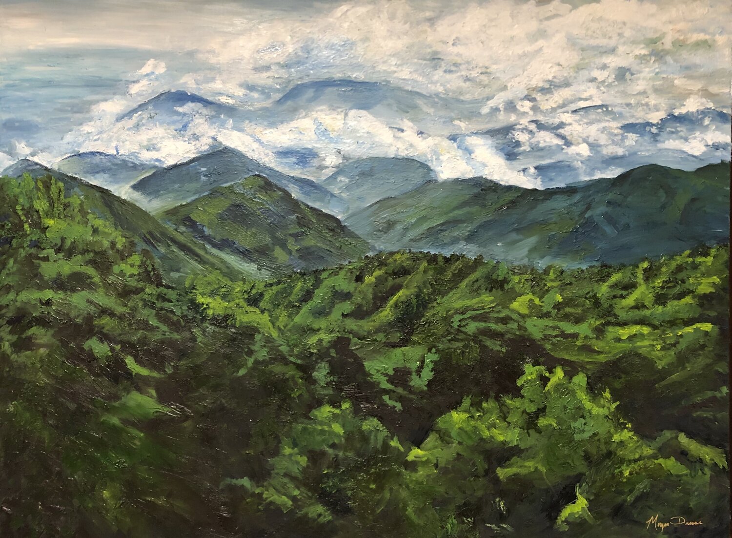 Mountain View Morgan Dreese