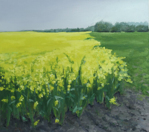 Rapsfeld 8 by Leni Winkelmann, 油畫 for Sale on Singulart