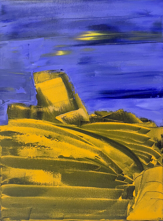 Night, fields. Maksim Gorshkov