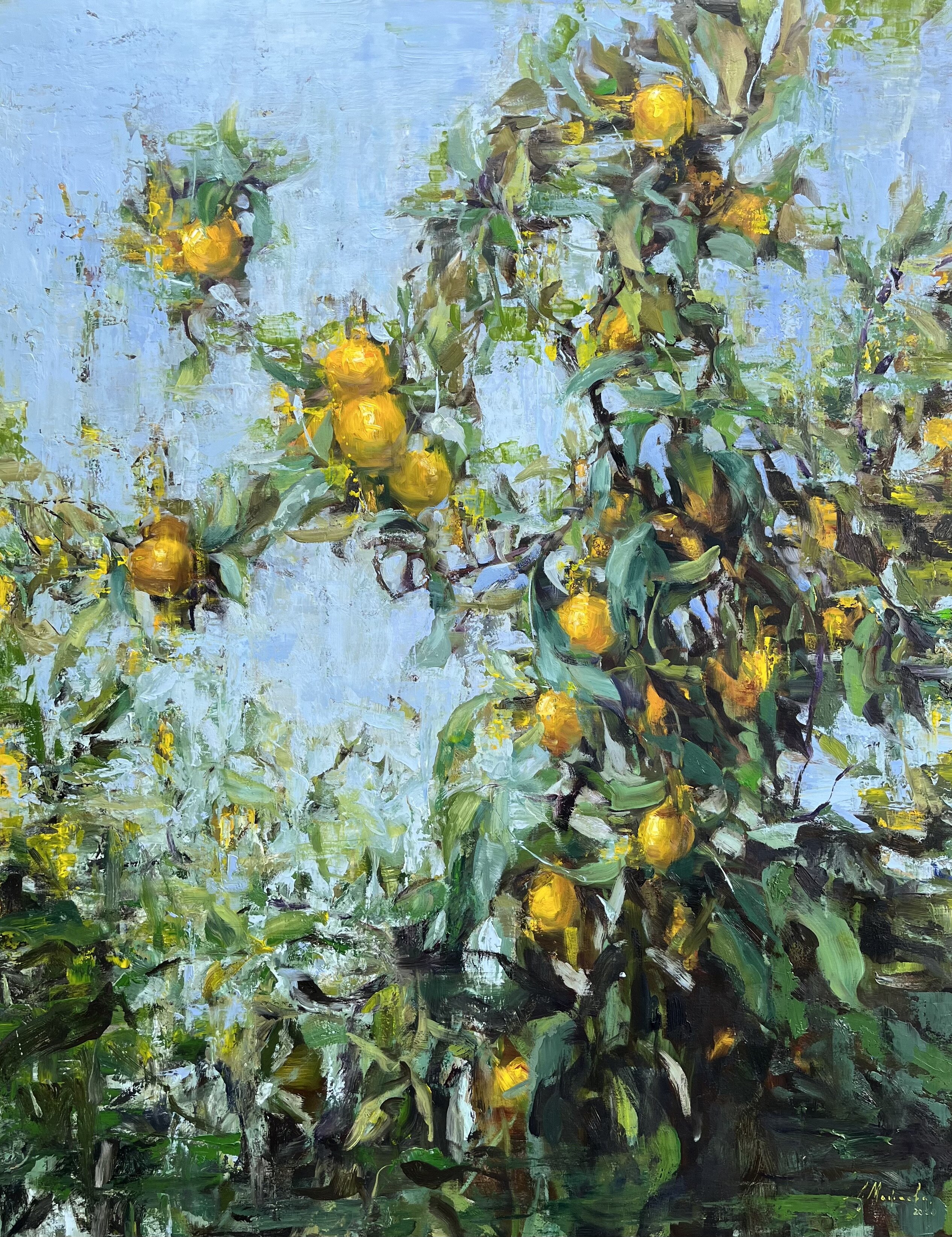 Limoni Zest of Life