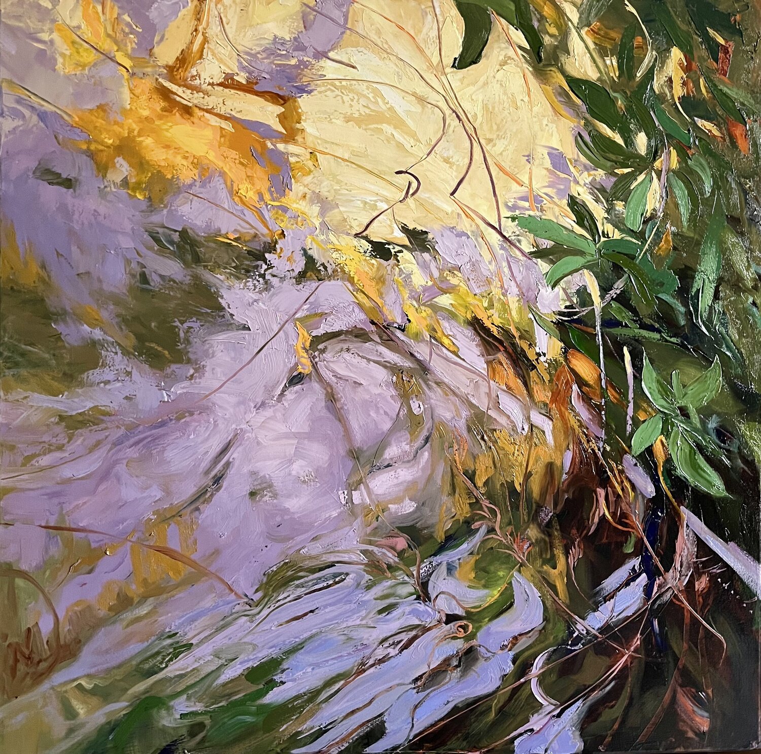 LUMINOUS WATERS Elena Agraphiotis