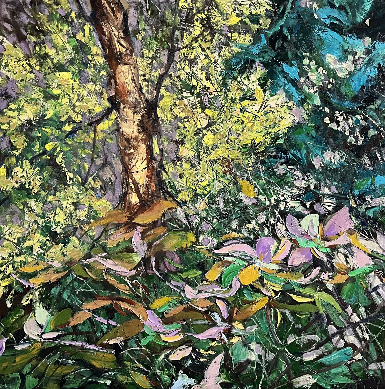 SUNLIT FOREST DREAMS Elena Agraphiotis