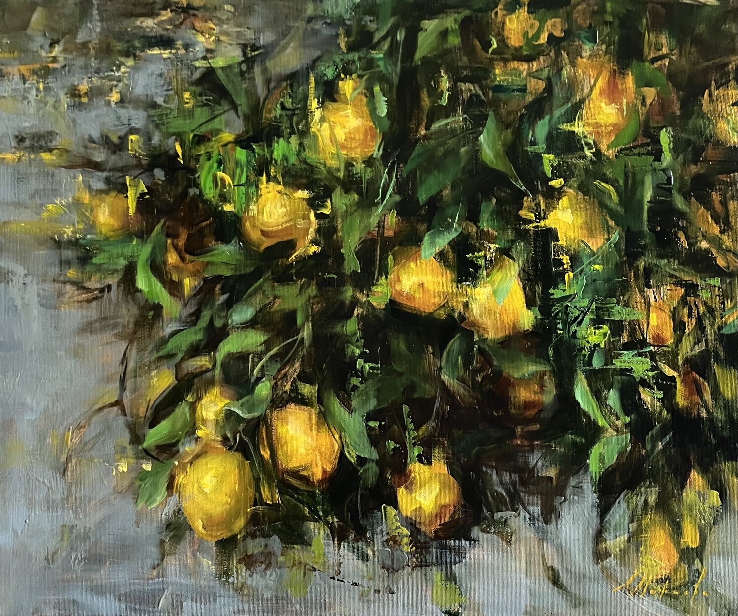 LEMONS -  PROVENCE Elena Agraphiotis