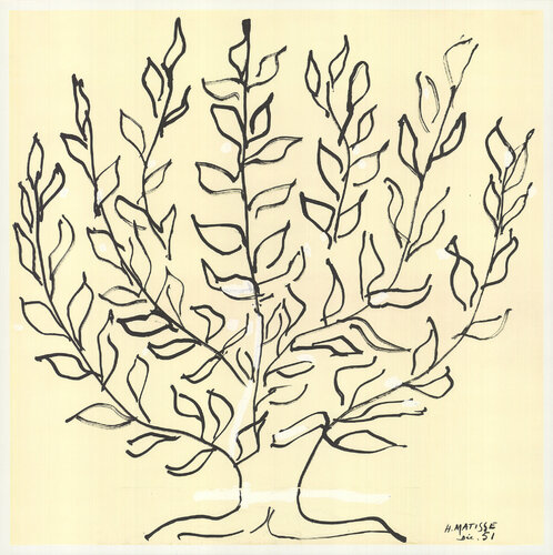 Le Buisson - Platane Henri Matisse