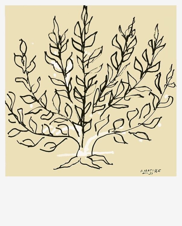 Le buisson Henri Matisse