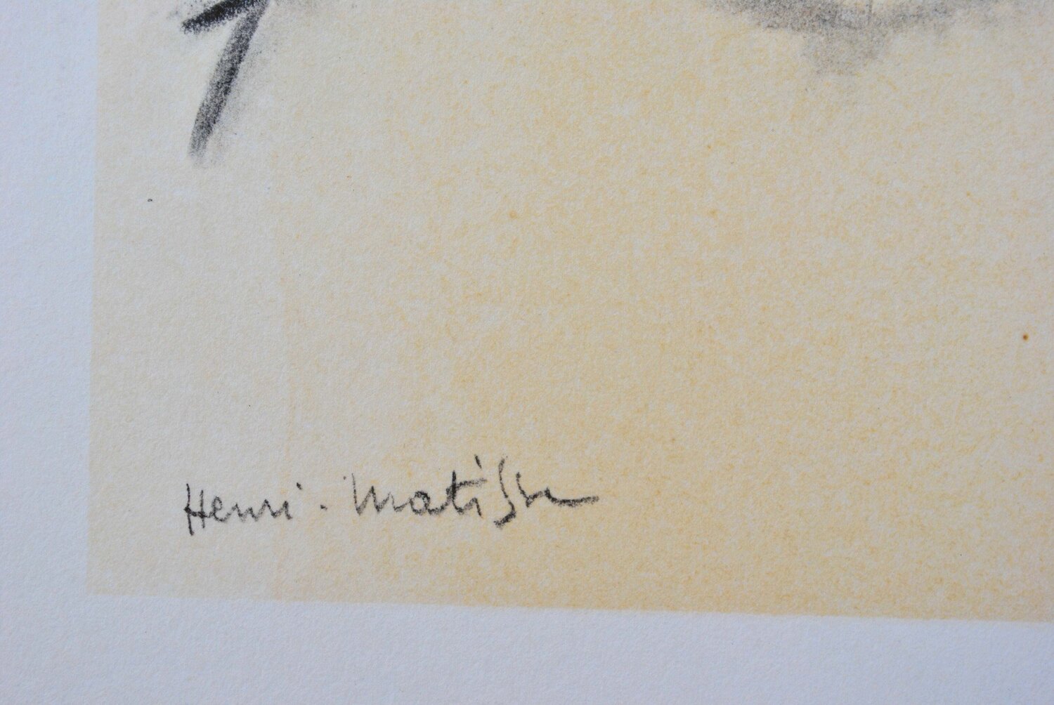 Notable aux Antilles, Henri Matisse