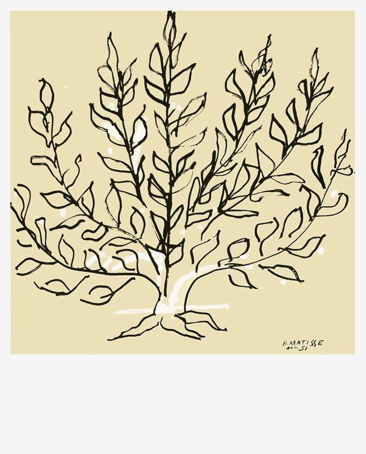 Le buisson Henri Matisse
