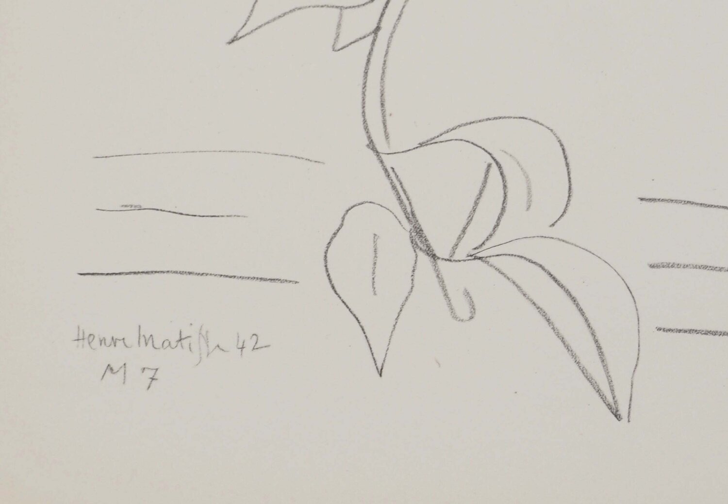 Représentation florale Henri Matisse