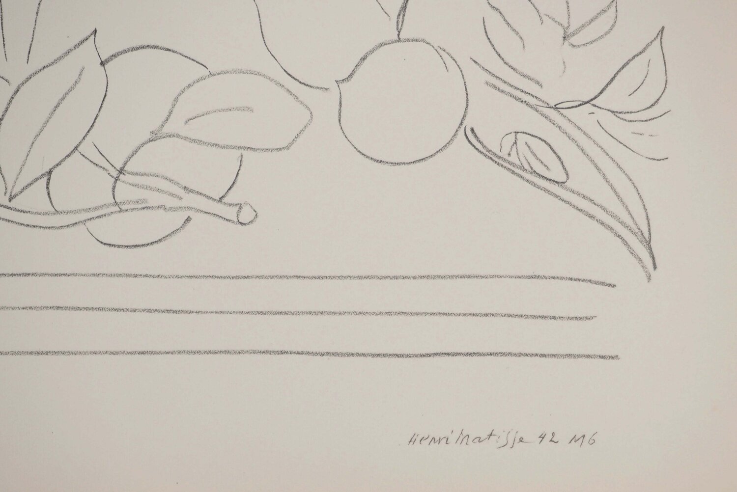Observation de plantes Henri Matisse