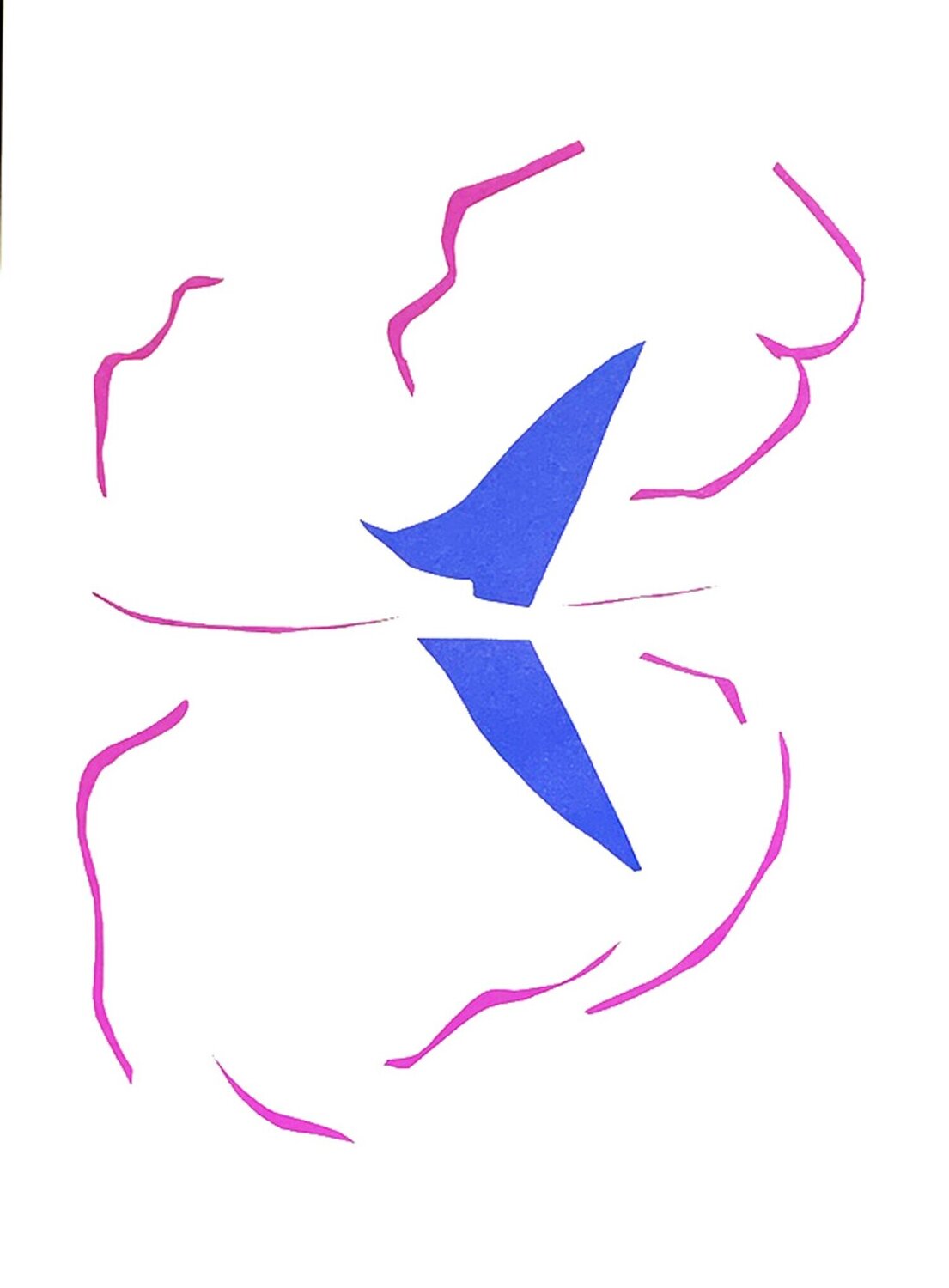 Bateau Henri Matisse