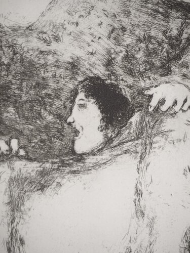 Le manteau étendu sur Noé di Marc Chagall, Stampa in vendita su Singulart