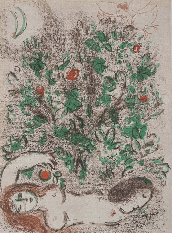 La Bible, Le Paradis Terrestre, Lithographie originale Marc Chagall