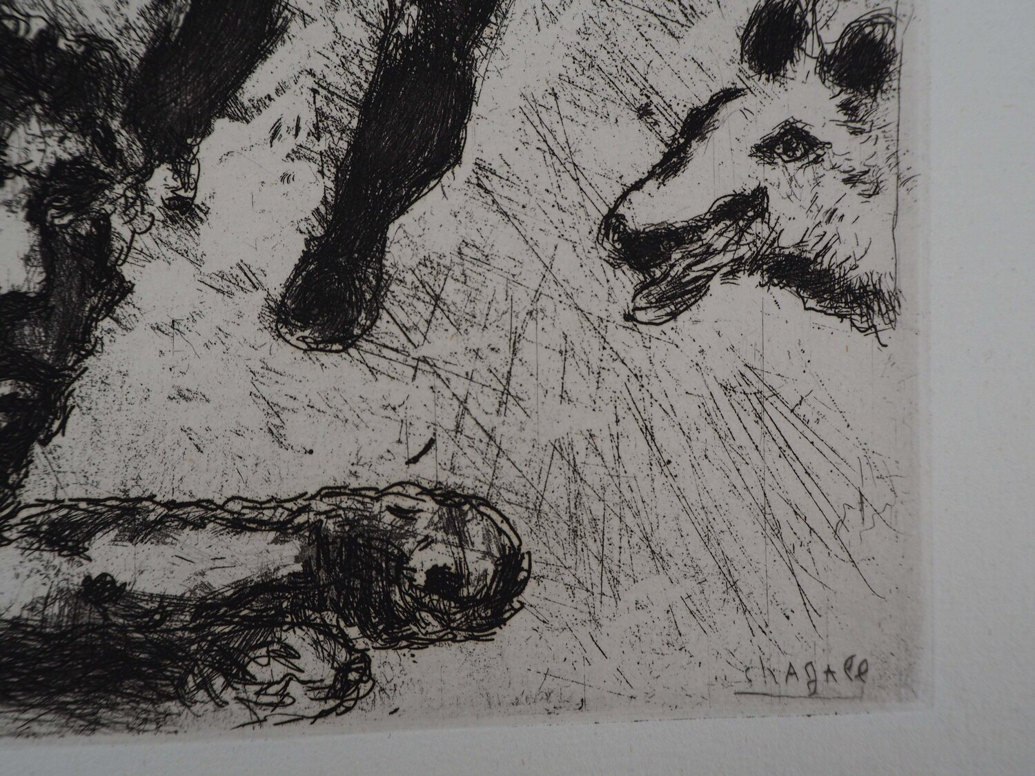 Le vieux lion Marc Chagall