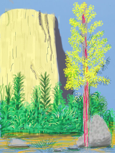 Yosemite No.22 van David Hockney, Afdruk te koop op Singulart