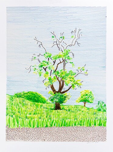 Hawthorn Bush in Front of a Very Old and Dying Pear Tree van David Hockney, Afdruk te koop op Singulart