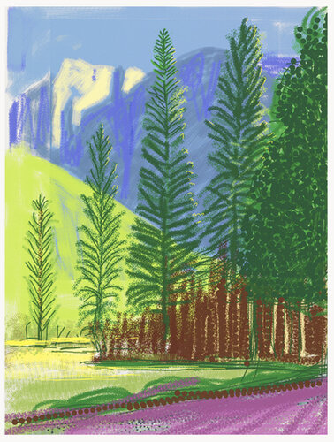 Yosemite 12 van David Hockney, Afdruk te koop op Singulart