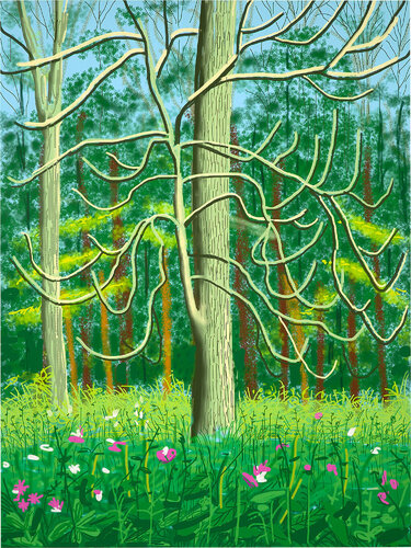 The Arrival of Spring in Woldgate, East Yorkshire in 2011 (twenty eleven) - 4 May van David Hockney, Afdruk te koop op Singulart
