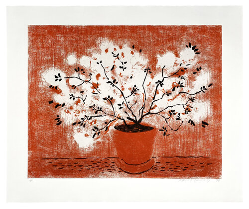 Red Wire Plant van David Hockney, Afdruk te koop op Singulart