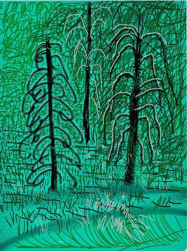 Untitled No.16 from The Yosemite Suite van David Hockney, Afdruk te koop op Singulart