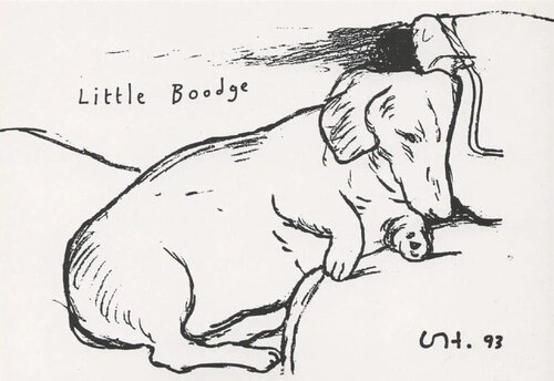 Little Boodge (Dog) van David Hockney, Afdruk te koop op Singulart