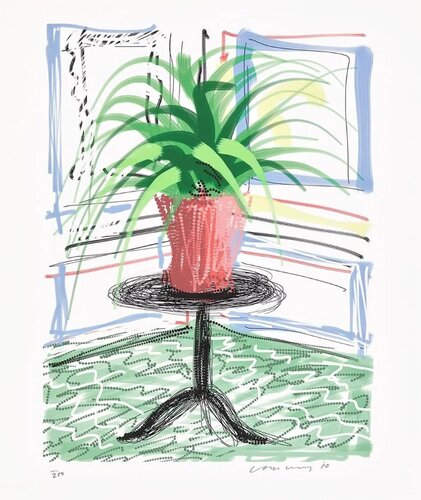 A Bigger Book - Art Edition C van David Hockney, Afdruk te koop op Singulart