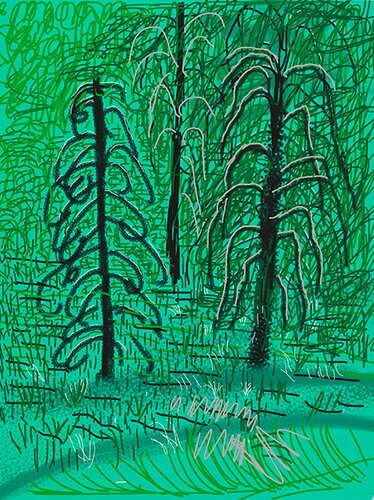 "Untitled No.16" from "The Yosemite Suite" di David Hockney, Stampa in vendita su Singulart