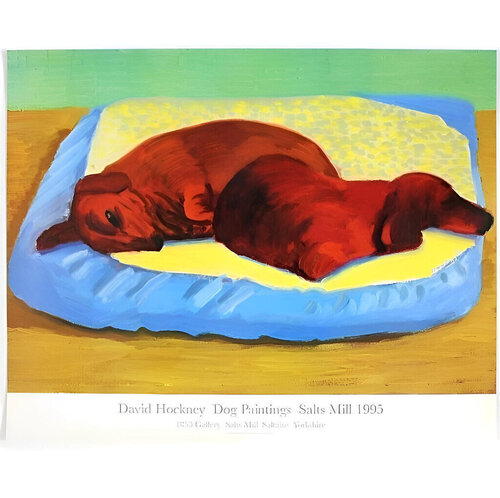 Dog 43 van David Hockney, Afdruk te koop op Singulart