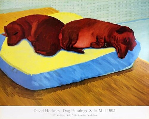 Dog 38 (Stanley and Boodge) di David Hockney, Stampa in vendita su Singulart
