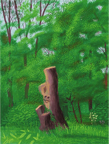 The Arrival of Spring in Woodgate, East Yorkshire in 2011 (twenty eleven) - 22 May by David Hockney, Print for Sale on Singulart