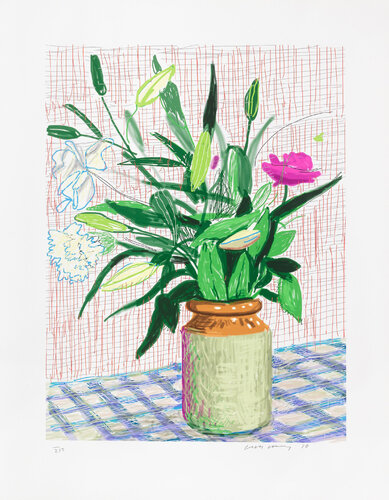 A Bigger Book - Art Edition D de David Hockney, Impresión a la venta en Singulart