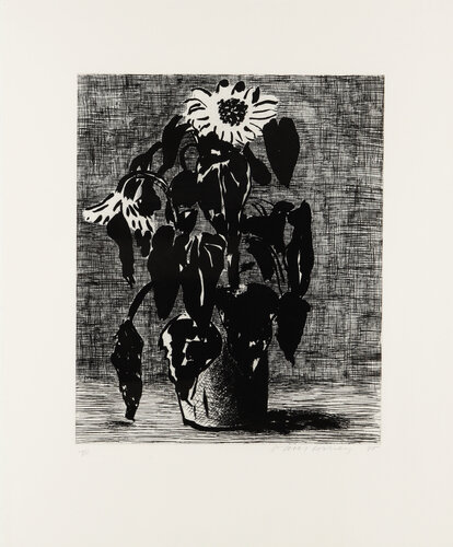 David Hockney Sunflower I by David Hockney, 版画 for Sale on Singulart