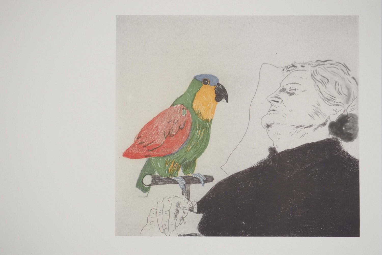 La mère de l'artiste au perroquet David Hockney Afdruk te koop