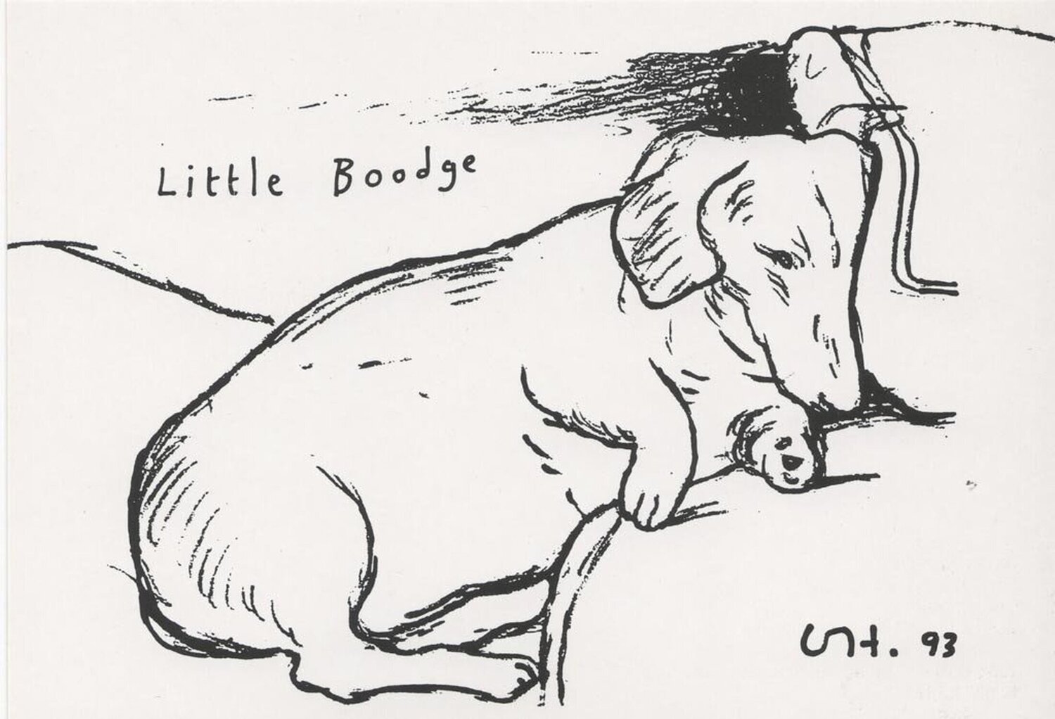 Little Boodge David Hockney