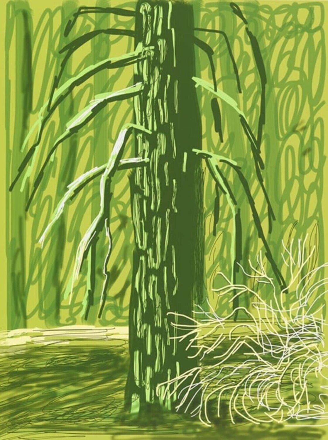 Untitled No.18 from The Yosemite Suite David Hockney