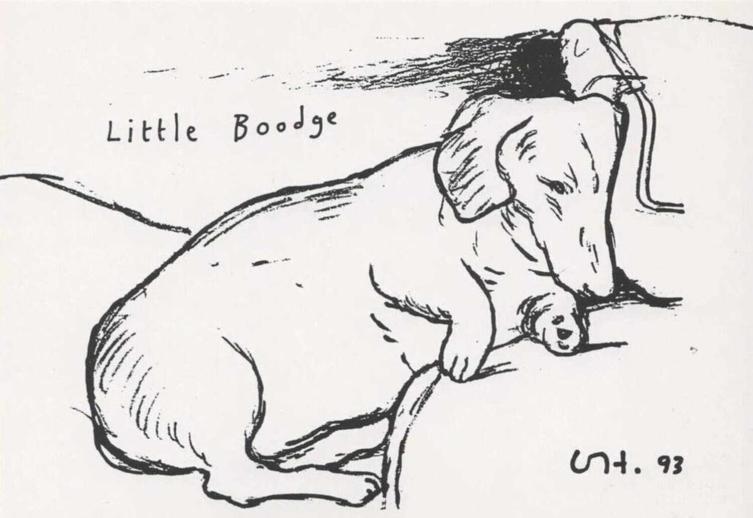Little Boodge (Dog) David Hockney