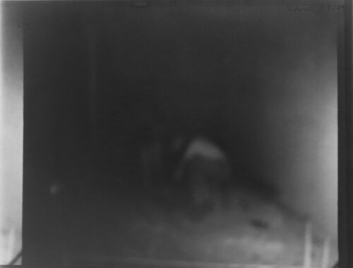 7.5.89 van Gerhard Richter, Fotografie te koop op Singulart