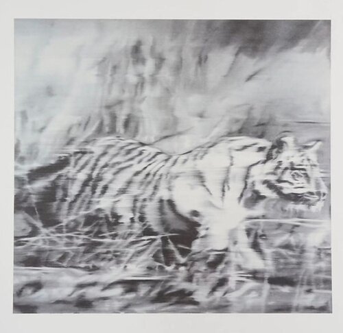 Gerhard Richter Tiger by Gerhard Richter, Print for Sale on Singulart