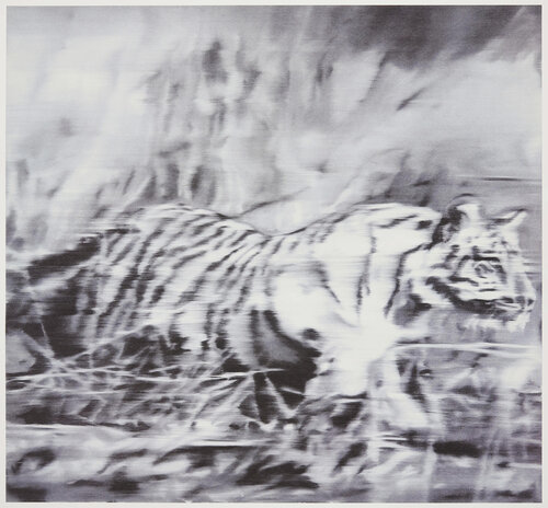 Tiger by Gerhard Richter, Print for Sale on Singulart