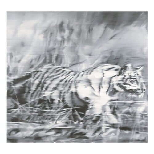 Tiger by Gerhard Richter, Print for Sale on Singulart