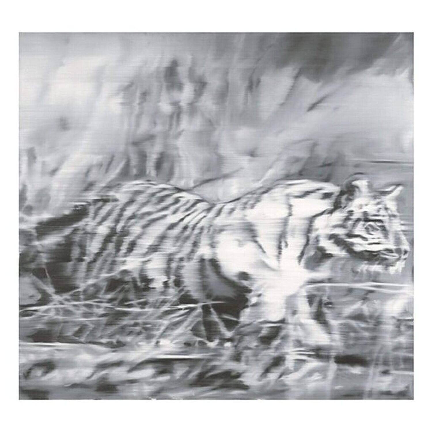 Tiger Gerhard Richter Print for sale