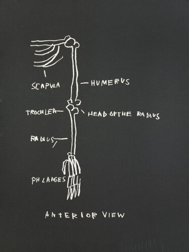 Untitled (Arm Anterior view) di Jean-Michel Basquiat, Stampa in vendita su Singulart