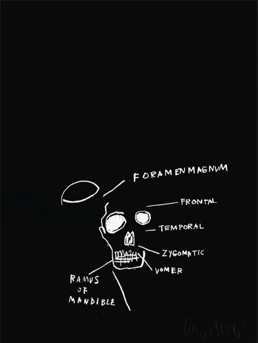 Untitled (Skull) from the Anatomy series di Jean-Michel Basquiat, Stampa in vendita su Singulart