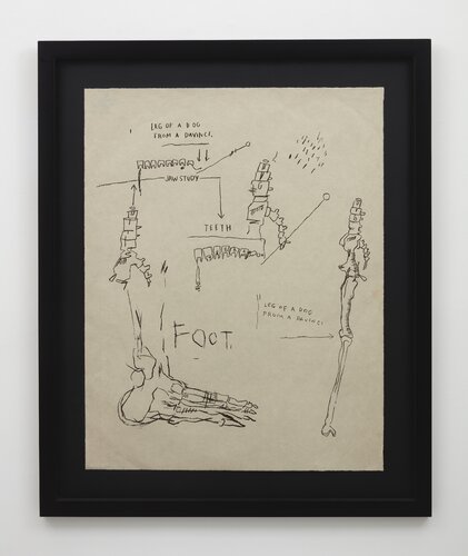 Leg of a Dog, from Da Vinci di Jean-Michel Basquiat, Stampa in vendita su Singulart