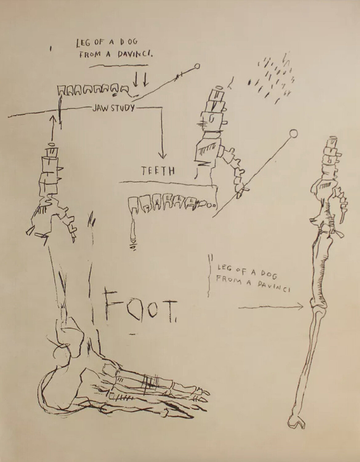 Leg of a Dog Jean-Michel Basquiat Druck zu verkaufen