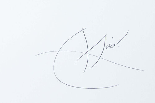 Jardin espagnol à l'étoile Joan Miró