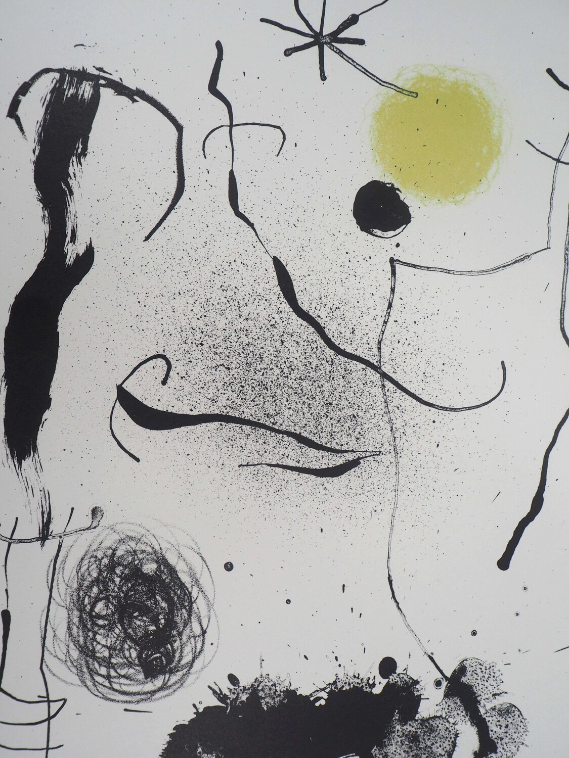 Bouquet de rêves pour Leïla Joan Miró Stampa in vendita