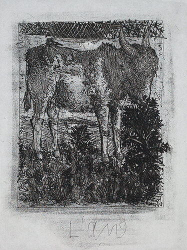 The Donkey (Histoire Naturelle - Textes de Buffon, B.329) van Pablo Picasso, Afdruk te koop op Singulart
