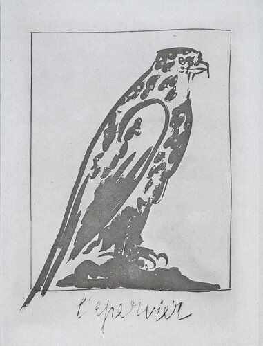 The Sparrow Hawk (Histoire Naturelle - Textes de Buffon, B.342) van Pablo Picasso, Afdruk te koop op Singulart