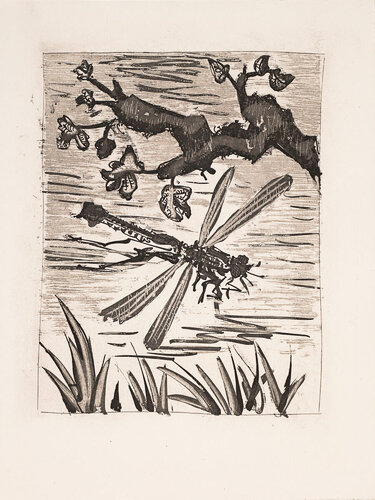 The Dragonfly (Histoire Naturelle - Textes de Buffon, B.354) di Pablo Picasso, Stampa in vendita su Singulart
