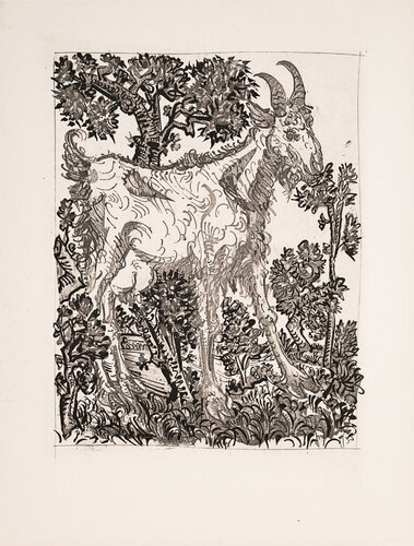 The Goat (Histoire Naturelle - Textes de Buffon, B.335) van Pablo Picasso, Afdruk te koop op Singulart